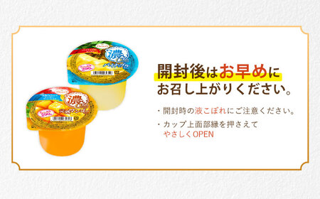 たらみ たっぷり290g 濃い0kcal (2種×各18個) 36個セット（完熟マンゴー・パイナップル）/ カロリーゼロ ゼリー ぜりー フルーツゼリー 果物 くだもの フルーツ ふるーつ パインナッ