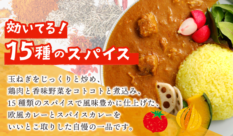 SONカフェ特製カレー 200g×5 冷凍 簡単調理 15種スパイス 泉州野菜使用