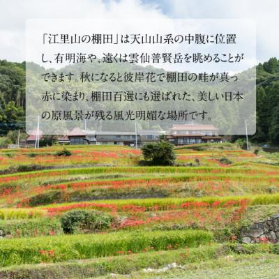 ふるさと納税 小城市 日本の棚田百選選定　江里山(えりやま)の棚田米(5kg) |  | 02