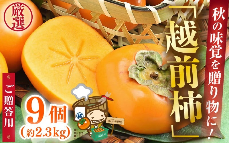 
            【先行予約】秋の味覚を贈り物に！厳選「越前柿」大玉 9個（ご贈答用） ／ 果物 フルーツ かき 種なし  産地直送 期間限定 ※2025年10月下旬以降順次発送 [aw031-a005]
          