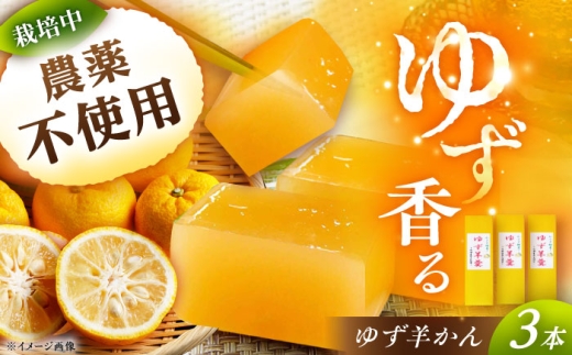 ゆず羊かん 3本 / 羊羹 和菓子 お菓子 和スイーツ スイーツ デザート おやつ 茶菓子 / 恵那市 / かさぎゆず組合 [AUAW014]