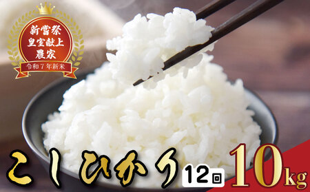 【令和7年産】 新米 定期便 10kg×12回 こしひかり 新米 AS001