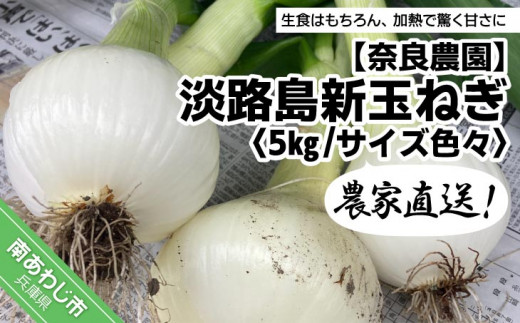農家直送！淡路島新玉ねぎ ≪５kgサイズ色々≫