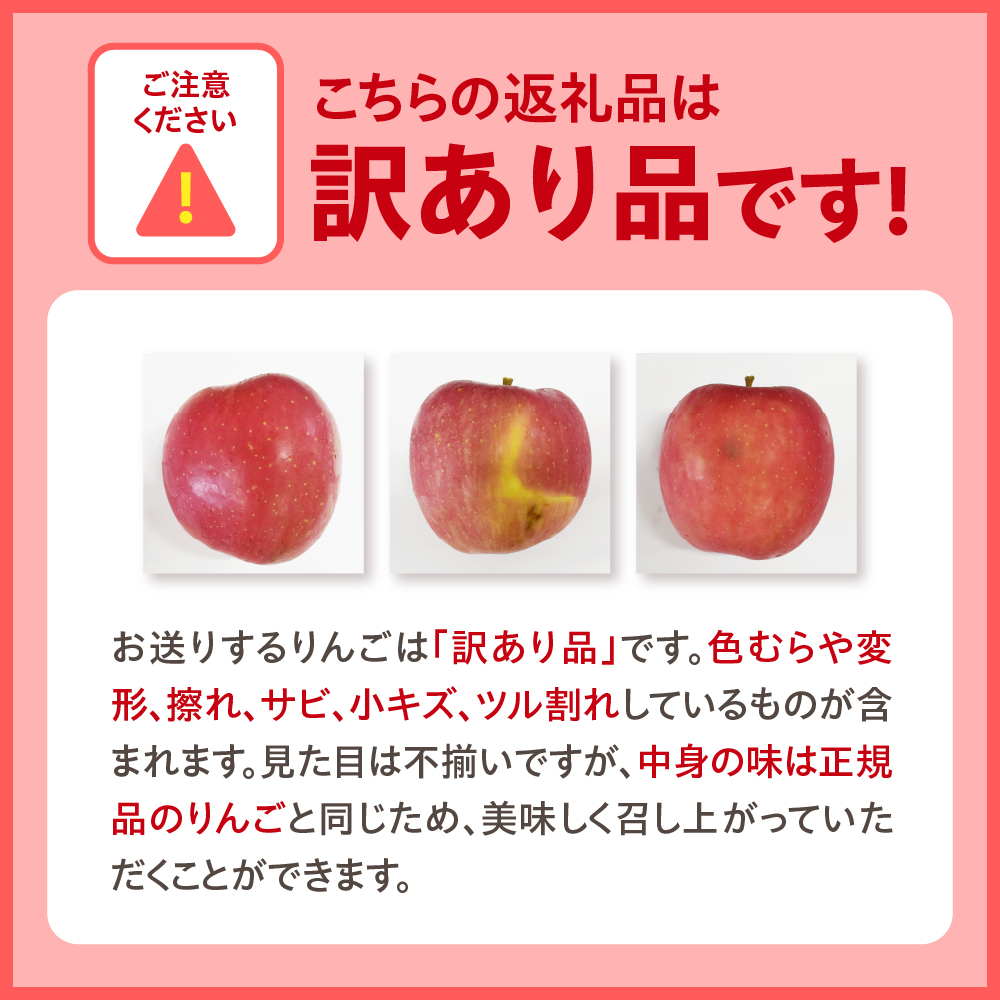 【2026年10月後半以降順次発送】訳あり りんご 10kg 程度 サンジョナゴールド 青森県産