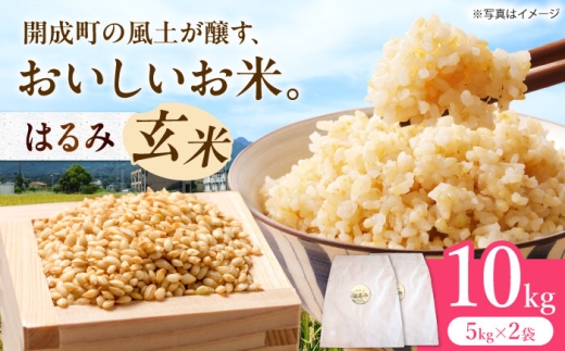 【令和7年産】 はるみ 玄米10kg 【Junkan農園】 米 お米 精米 玄米 はるみ 令和7年産 [BDBF003-2]