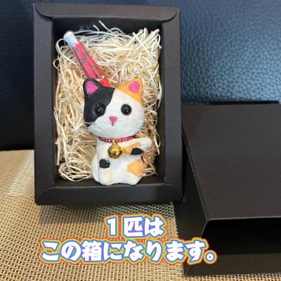 ふるさと納税 東秩父村 笠山猫(かさやまねこ)(3)よしにゃか