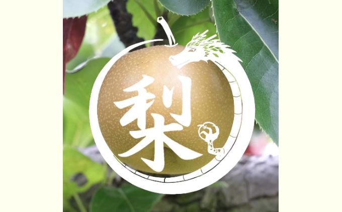 【無農薬】南信州からお届け 信州産 皮ごと食べられる安心安全の南水 約 3kg (8玉前後) フルーツ 果物 長野県産 デザート おすすめ 特産 産地直送