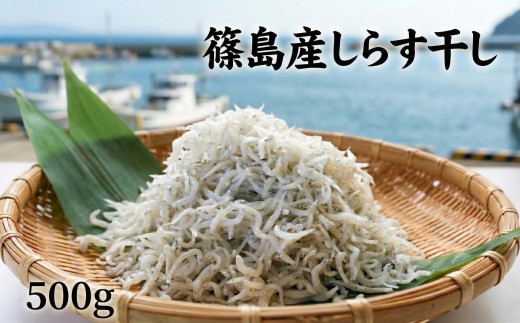 【スピード発送】＜篠島産＞ 訳あり しらす干し500g シラス 南知多産 愛知