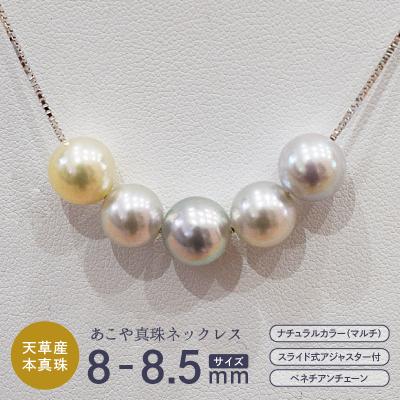 ふるさと納税 天草市 あこや真珠 ナチュラル 8-8.5mm 5粒 ネックレス 【ベネチアンチェーン】_S085-401