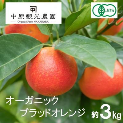 ふるさと納税 大崎上島町 【2月下旬〜3月発送】 大崎上島産 　オーガニックブラッドオレンジ 約3kg　(有機JAS認証)