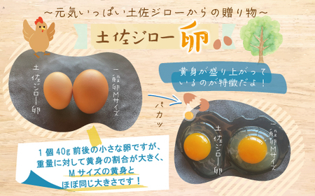 濃厚でコクのある味わい！のびのび育った土佐ジローの自然卵20個（10個入り×2パック）卵 玉子 たまご 鶏卵 土佐ジローの卵 土佐ジロー 自然卵 新鮮 旨味 濃厚 コク おいしい 自慢 こだわり卵 高