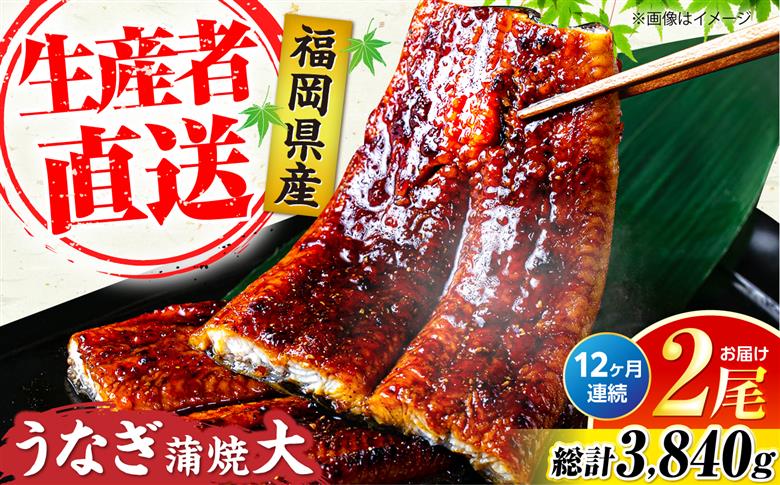 【全12回定期便】福岡県産 うなぎ 蒲焼 大2尾　合計 320 g（1尾あたり 160g以上）《豊前市》【福岡養鰻】 国産 うなぎ 大 [VAD013]