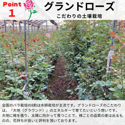 ふるさと納税 田原市 バラの花束　チャーミングブーケ30本 |  | 02