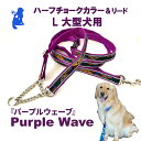 【ふるさと納税】【大型犬用・Lサイズ】 ハーフチョークカラーとリードのセット（パープルウェーブ）　浜松市