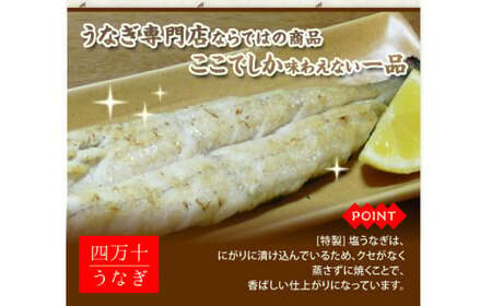 期間限定 数量限定 塩うなぎセット 280g（140g×2本） うなぎ ウナギ 鰻 小分け 惣菜 国産 冷凍 ウナギ 鰻 有頭 四万十鰻 冷凍 ／Esu-201