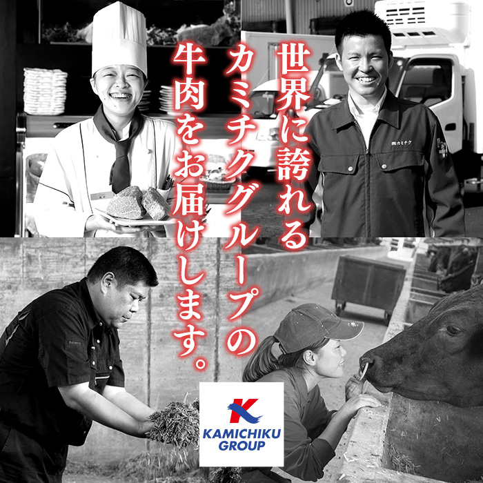No.546 鹿児島県産黒毛和牛ヒレステーキ2種盛り(計440g・220g×2P)国産 九州産 牛肉 黒毛和牛 和牛 国産牛 ヒレ ステーキ 冷凍【LRプラスK】