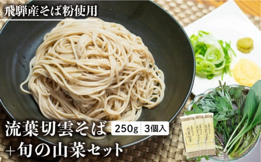 《先行予約》流葉切雲そば山菜セット 9人前 山菜蕎麦 天ぷら蕎麦 蕎麦 乾麺 山菜 新鮮 朝採れ【4月下旬～5月上旬発送】