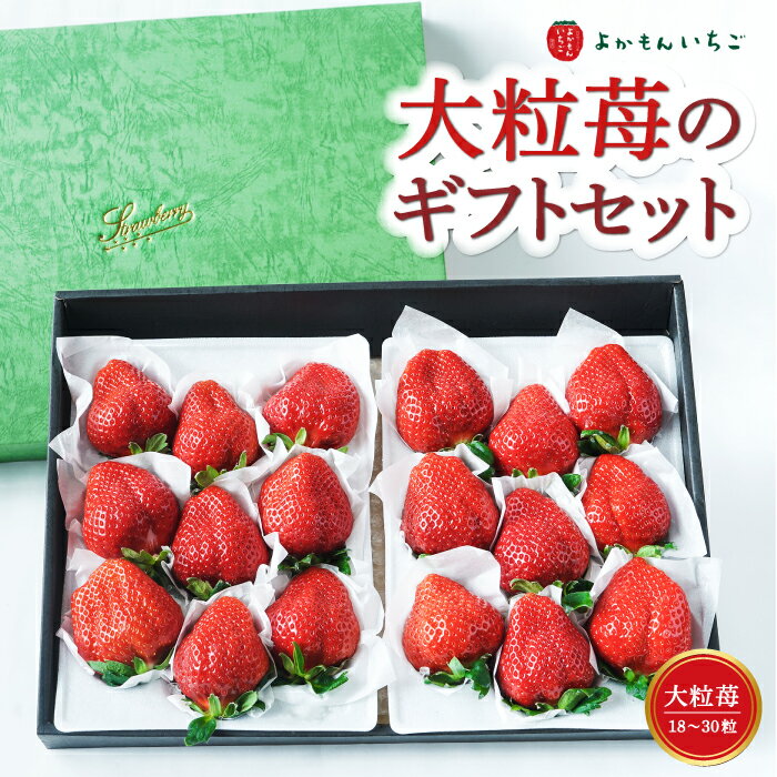 【ふるさと納税】 【選べる発送時期】よかもんいちご 大粒苺のギフトセットB いちご 苺 フルーツ 【2026年2月から2026年4月まで順次発送予定】送料無料 福岡県 うきは市