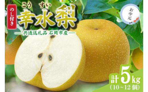 ＜のし付き＞お中元　幸水5kg(10～12個)　県内共通返礼品 (BR150)