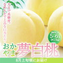 【ふるさと納税】桃 2025年 先行予約 おかやま 夢 白桃 5～6玉入り(約1.5kg) 贈答用 もも モモ 岡山県 赤磐市産 国産 フルーツ 果物 ギフト　赤磐市　お届け：2025年7月下旬～2025年8月上旬