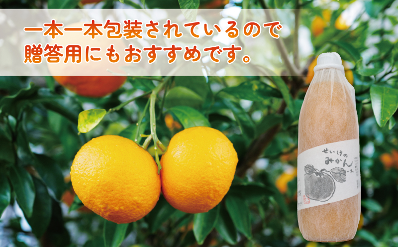 みかん ジュース 1,000ml×6本 清家 100％ ストレート 温州みかん みかんジュース 果汁 飲料 果物 フルーツ  ギフト プレゼント 国産 愛媛 宇和島 H028-170002