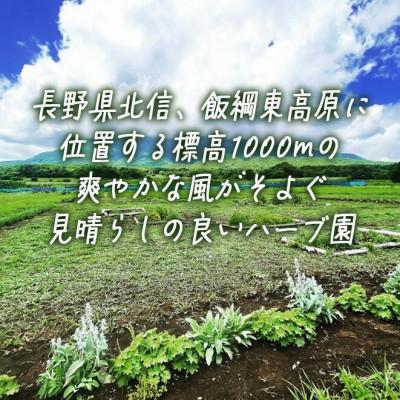 ふるさと納税 飯綱町 コーディアル 1本 + ハーブティー 1袋 長野県 飯綱町 |  | 01