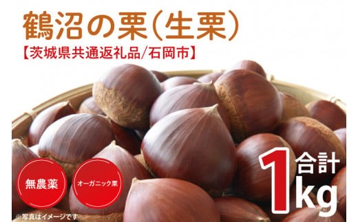
                  【2026年9月中旬より順次発送】石岡市鶴沼の栗（生栗）1kg（茨城県共通返礼品/石岡市）【くり 栗 農薬不使用 オーガニック オーガニッ栗 珍しい 希少 秋 茨城県産 果物 果樹 栗ご飯 水戸市】（KN-4）
                