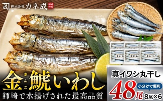 【ふるさと納税】 いわし 丸干し 48尾 ( 8尾 × 6 パック ) 干物 冷凍 小分け 愛知県 南知多町 ご飯 ごはん おかず おつまみ 魚 さかな 鰯 金鯱 イワシ 栄養 料理 カネ成 国産 人気 おすすめ