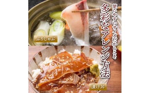 ぶり 切り落とし 約900g （約150g×6パック） ブリ 鰤 切り身 魚 魚介 パック 高知県産 国産 冷凍配送 おかず お弁当 料理 刺身 ぶりしゃぶ 照り焼き 刺身 刺し身 便利 たっぷり 美