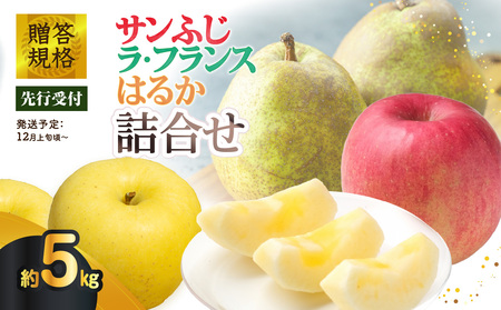 《先行受付》贈答規格「サンふじ」「ラ・フランス」「はるか」約5kg詰合せ（特秀～秀）【2025年12月上旬～発送予定】【大江町産・山形りんご・りんご専科 清野】 015-065