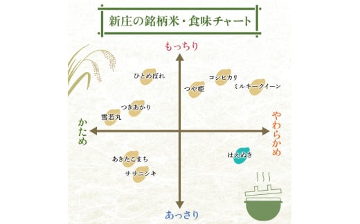 令和7年産 先行予約 ＜定期便 6回＞ 山形県産 はえぬき 精米 10kg （5kg×2）【最上ノ米蔵】 F3S-2489