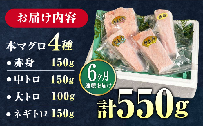 【全6回定期便】対馬産 本マグロ 4種 計550g（赤身/中トロ/大トロ/ネギトロ）《対馬市》【対海】[WAH016] マグロ まぐろ 鮪 本鮪 本マグロ 養殖 トロ 中トロ 中とろ 大トロ 大とろ 