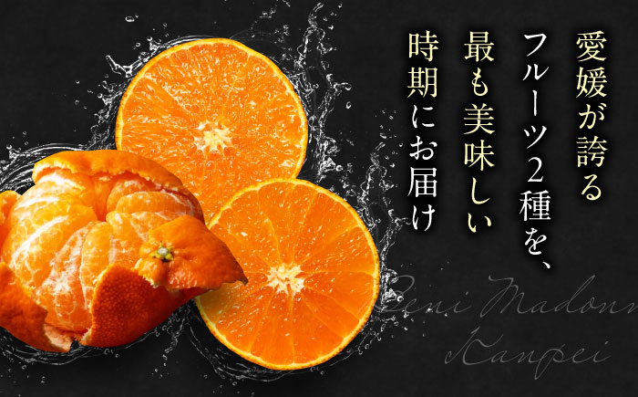 【全2回定期便】【数量限定】紅まどんな＆甘平 柑橘王国・愛媛が誇る柑橘2種の贅沢柑橘定期便！ 果物 フルーツ みかん 甘平 まどんな 愛媛県大洲市/愛媛たいき農業協同組合[AGAO013]