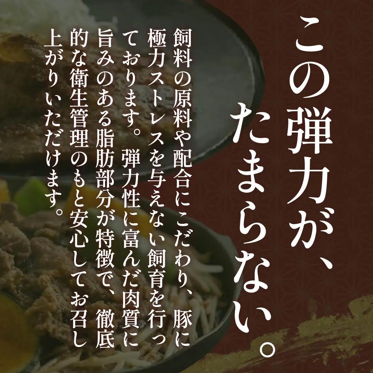 生姜焼き・豚ジンギスカン（鹿追Ｅセット） 【  北海道 鹿追町 送料無料 】 SKA002