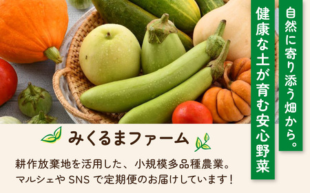 【定期便3回】朝どれ 旬な野菜 果物セット 6種類セット【お届け対象月 5月,8月,11月】農薬・化学肥料不使用