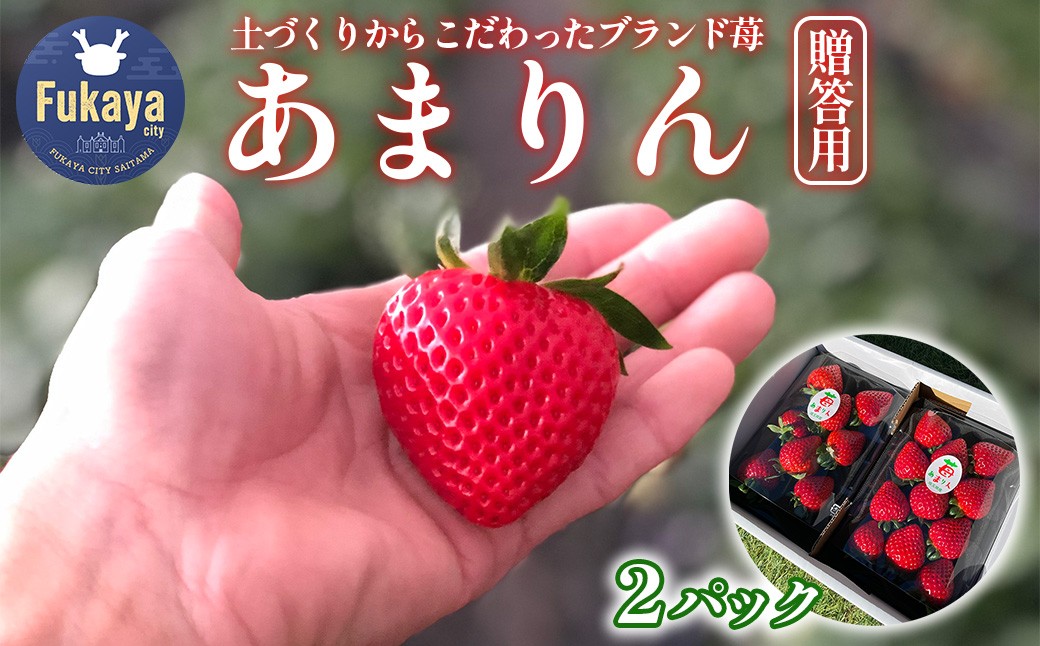 ＜先行予約＞埼玉県産　贈答用　あまりん（2パック入り）【11218-0871】　木口農園