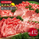 【ふるさと納税】【焼肉大会】【6回定期便】長崎和牛 焼肉用部位×6回定期便＜株式会社黒牛＞ [CBA048]