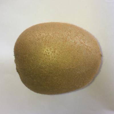 ふるさと納税 蓮田市 埼玉県産　グリーンキウイ(ヘイワード)贈答用　特L20玉 |  | 01