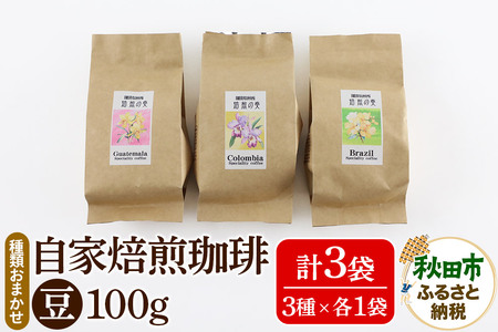 自家焙煎珈琲 豆 100g×おまかせ3種セット 計300g