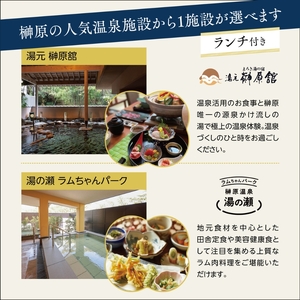くつろぎ温泉 七栗脳ドック（榊原温泉での入浴・食事付き）【 入浴券 食事券 温泉 食事 脳ドッグ 検査 MRI 測定 】 チケット お食事券 温泉利用券 