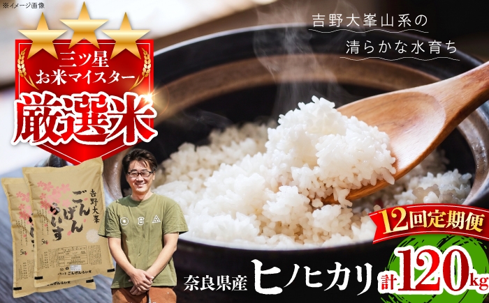 
                  白米【全12回定期便】ひのひかり 10kg（5kg×2袋） 奈良県吉野町/水本米穀店 [BRAW065] ひのひかり
                