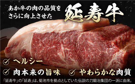 熊本県産 黒毛和牛 × あか牛 ロース ステーキ 食べ比べ 約 300g×2枚【有限会社 九州食肉産業】[ZDQ086]