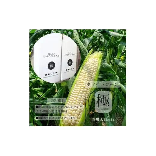 N352　ホワイトコーン極－Ｋｉｗａｍｉー（大）