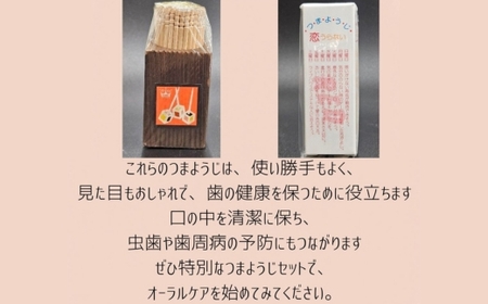 レトロなつまようじセット【河内長野市　地場産品】歯間ようじ 三角楊枝 デンタルピック