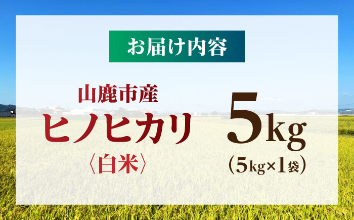 【先行予約】 令和8年度産 ヒノヒカリ 白米 5kg 【奥村果実園】 [ZFK009]