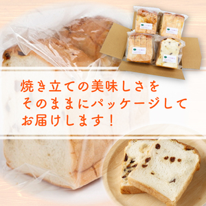 6回 定期便 レーズン食パン 海洋深層水食パン 4斤 [ロマンド 高知県 rm010]