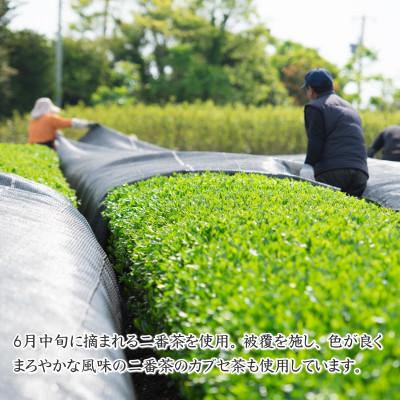 ふるさと納税 牧之原市 牧之原茶農家の自家用深蒸し茶 200g×5袋 静岡県牧之原市産 |  | 01