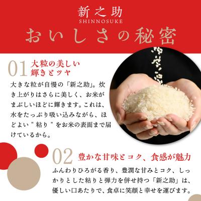 ふるさと納税 妙高市 【2025年7月中旬発送】令和6年産 新潟県上越妙高産新之助10kg |  | 01