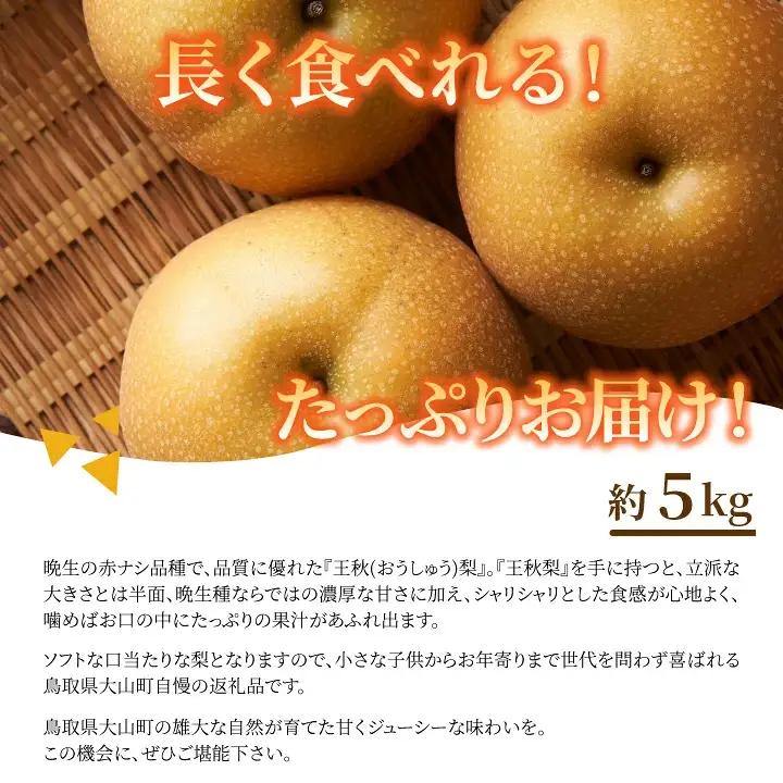 DS-08　王秋梨 5kg