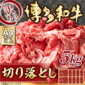 【訳あり】【A4~A5】博多和牛 切り落とし 5kg(500g×10P)[BGAB040]大容量 切り落とし大容量 